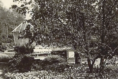 volliere-1967