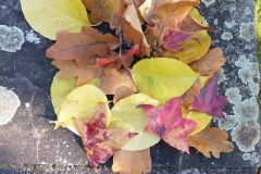 Herbstblaetter2