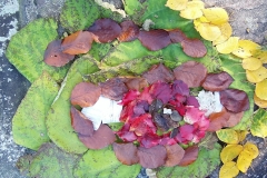 Herbstblaetter3