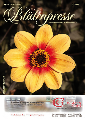 Die Blütenpresse Ausgabe 03/2019 auf issuu zum Blättern