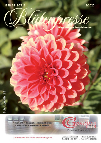 Die Blütenpresse Ausgabe 02/2020 auf issuu zum Blättern