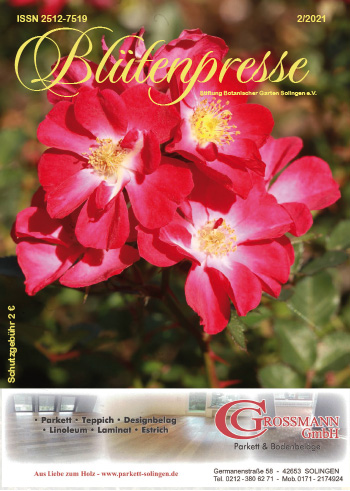 Die Blütenpresse Ausgabe 01/2021 auf issuu zum Blättern