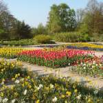 Startseite Botanischer Garten Solingen